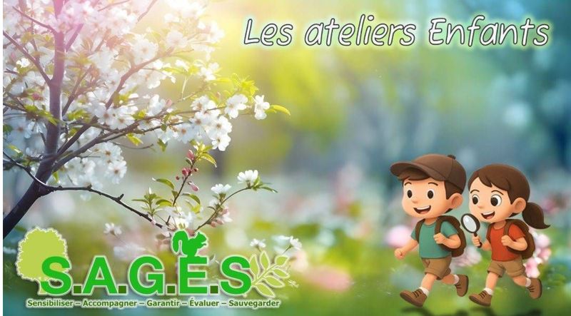 Photo 2 de S.A.G.E.S Sensibiliser Accompagner Garantir Evaluer Sauvegarder